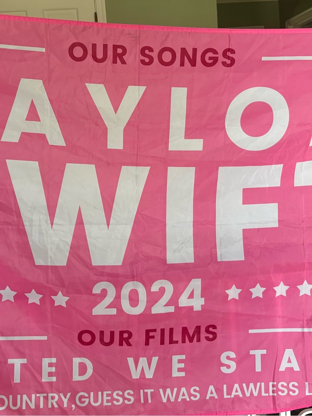 Taylor Swift Bold Pink '2024' Graphic Banner